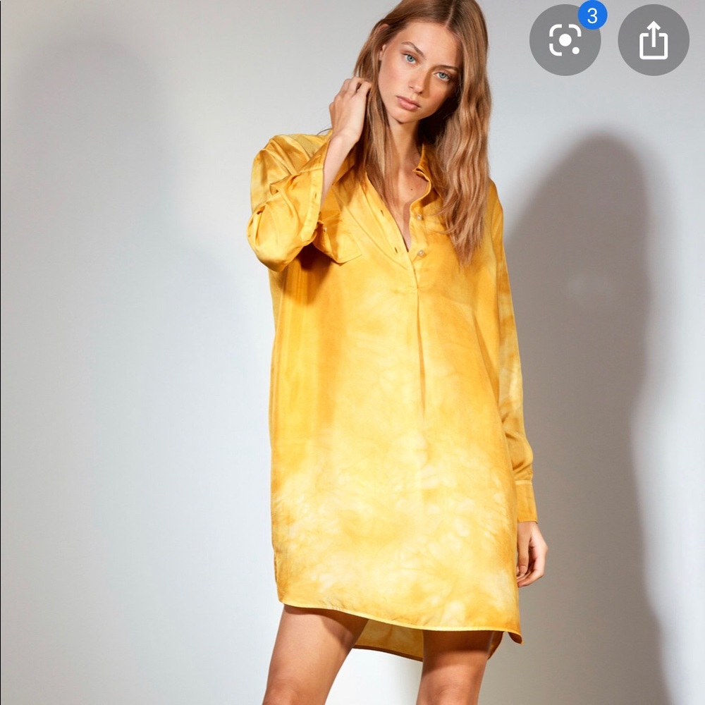 Le Fou Wilfred Silk Shirt Dress (Aritzia)